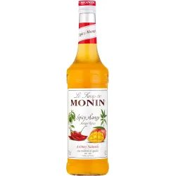 Sciroppo Spicy Mango Monin