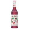 Monin Strawberry Syrup