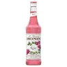 Sciroppo Rosa Monin