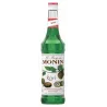 Sciroppo kiwi Monin